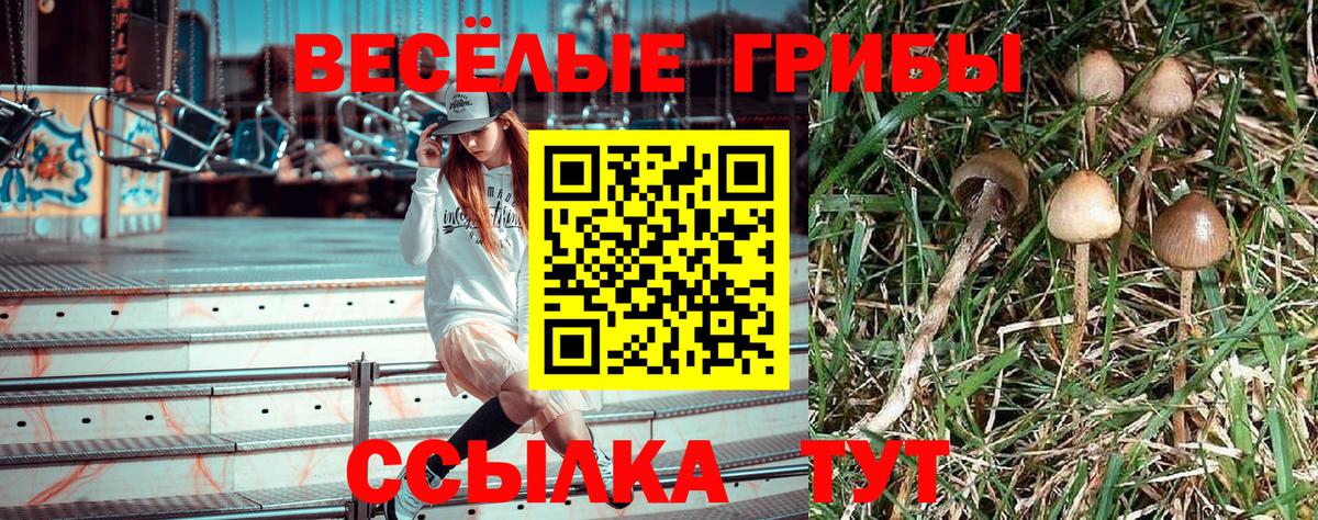 Псилоцибиновые грибы мицелий  Галлюциногенные грибы мицелий  Вход с VPN  Донской 