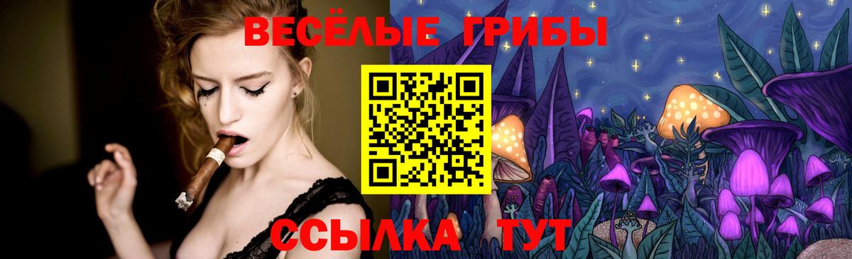 Галлюциногенные грибы Magic Shrooms Донской